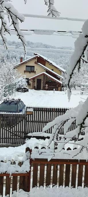 Cottage In Traditional Village Bradulet, Arges County Exterior photo