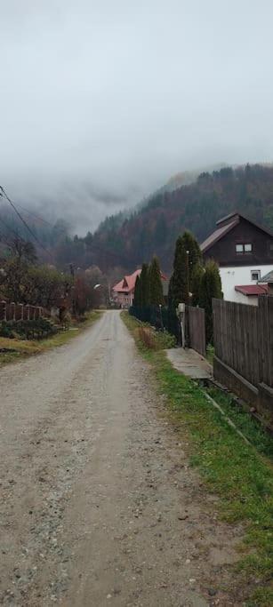 Cottage In Traditional Village Bradulet, Arges County Exterior photo