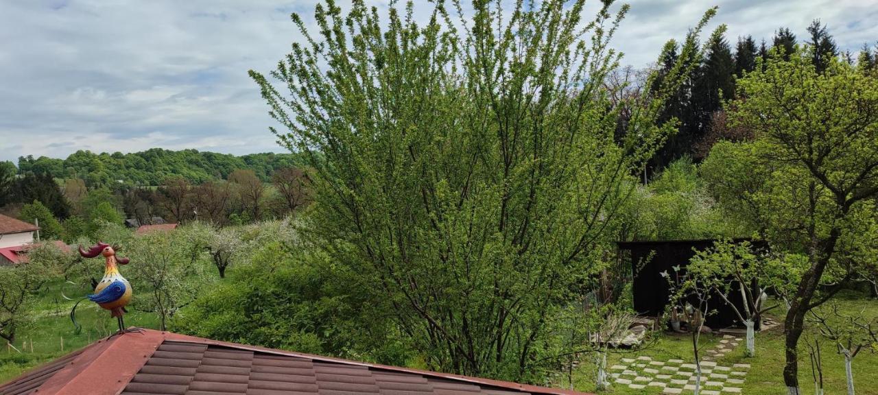 Cottage In Traditional Village Bradulet, Arges County Exterior photo