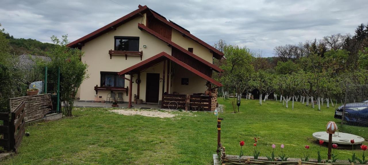Cottage In Traditional Village Bradulet, Arges County Exterior photo