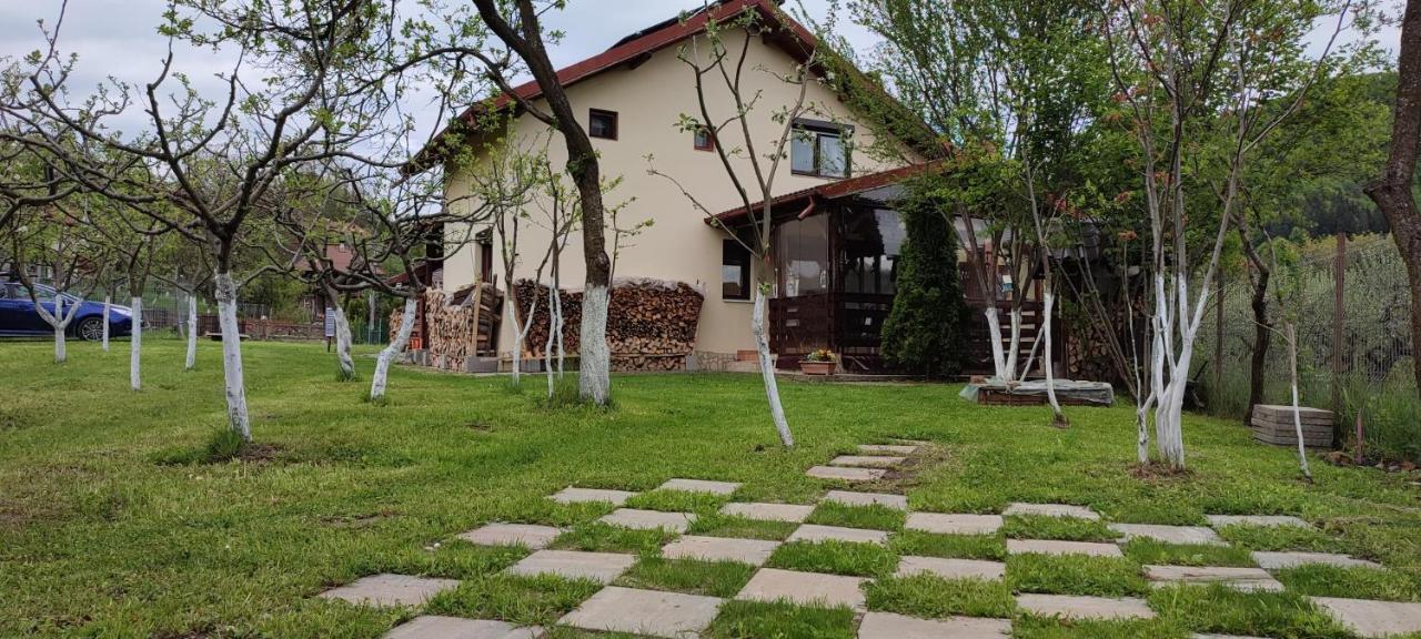 Cottage In Traditional Village Bradulet, Arges County Exterior photo
