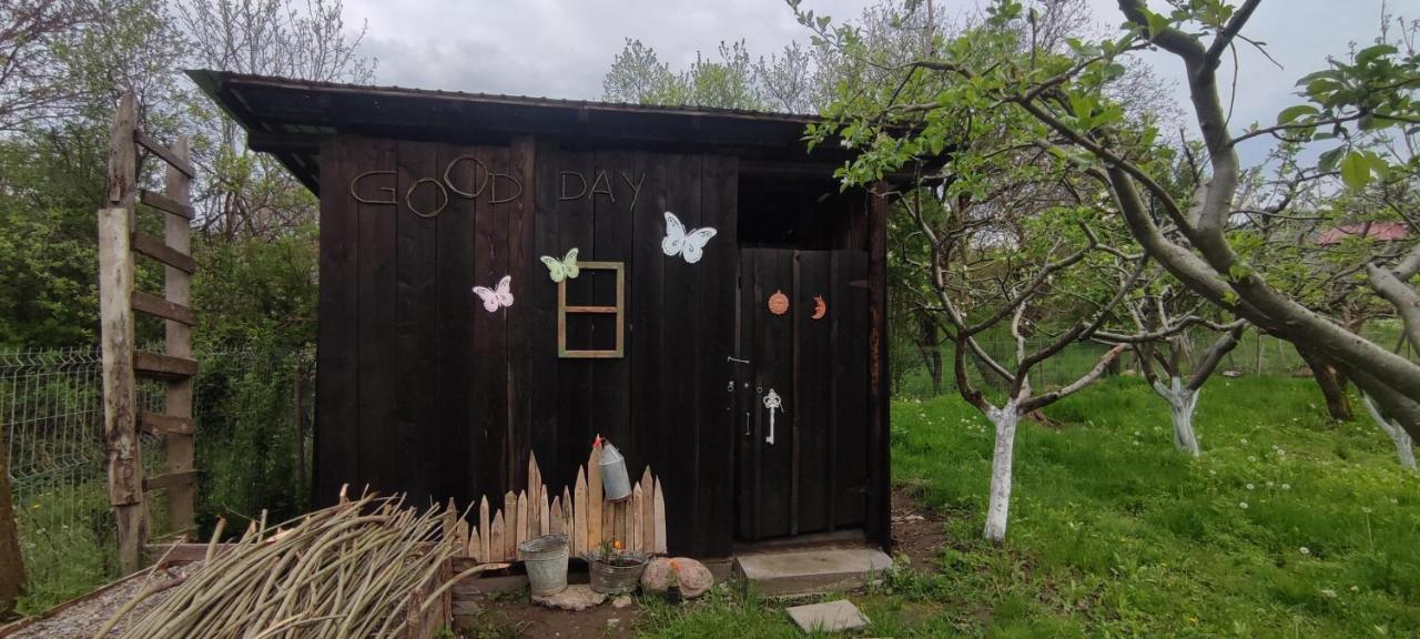 Cottage In Traditional Village Bradulet, Arges County Exterior photo