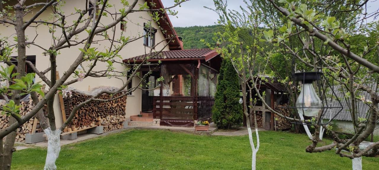 Cottage In Traditional Village Bradulet, Arges County Exterior photo