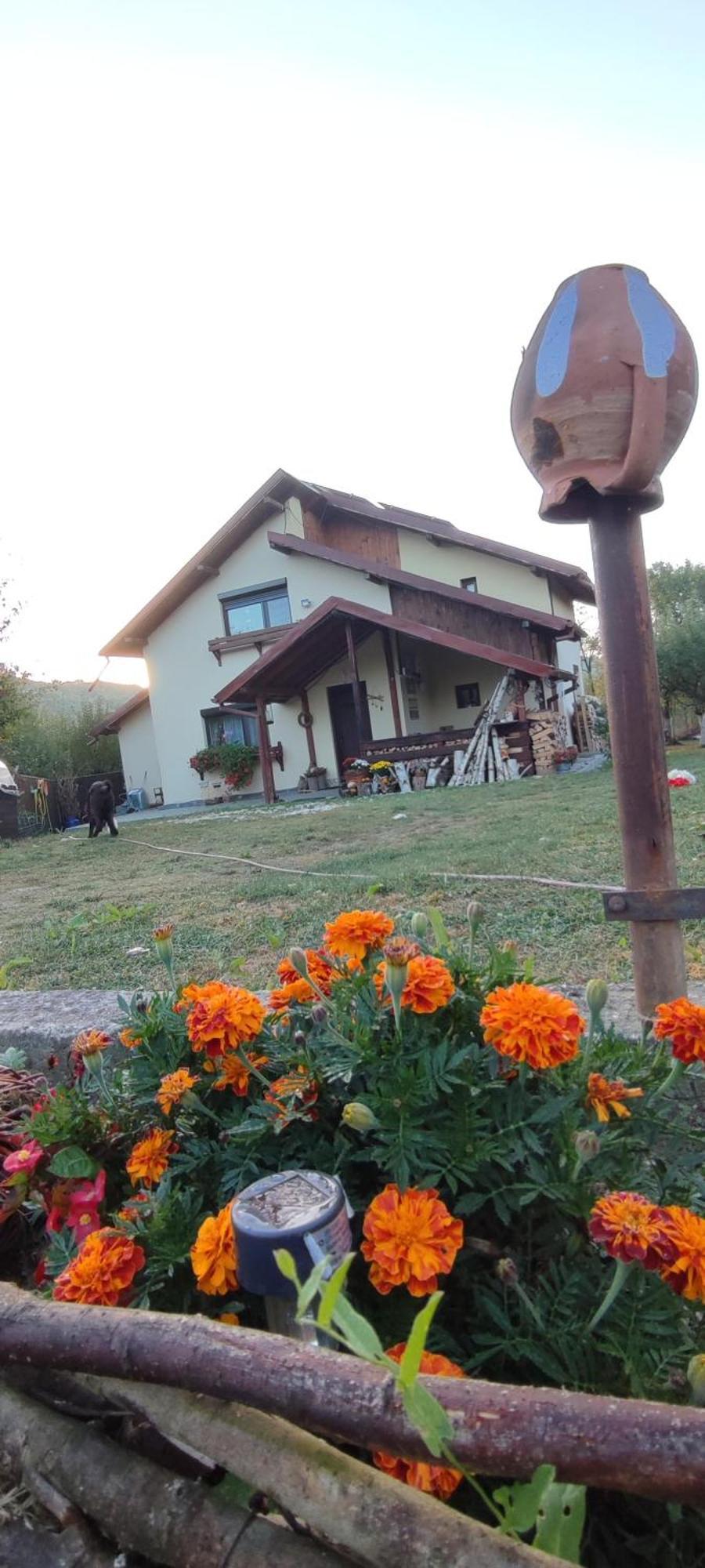 Cottage In Traditional Village Bradulet, Arges County Exterior photo